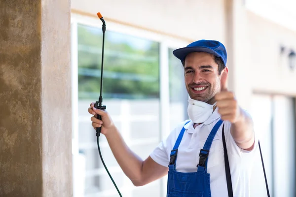 Rosamond Wasp Removal