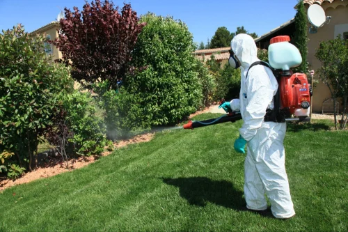 Rosamond Mosquito Control