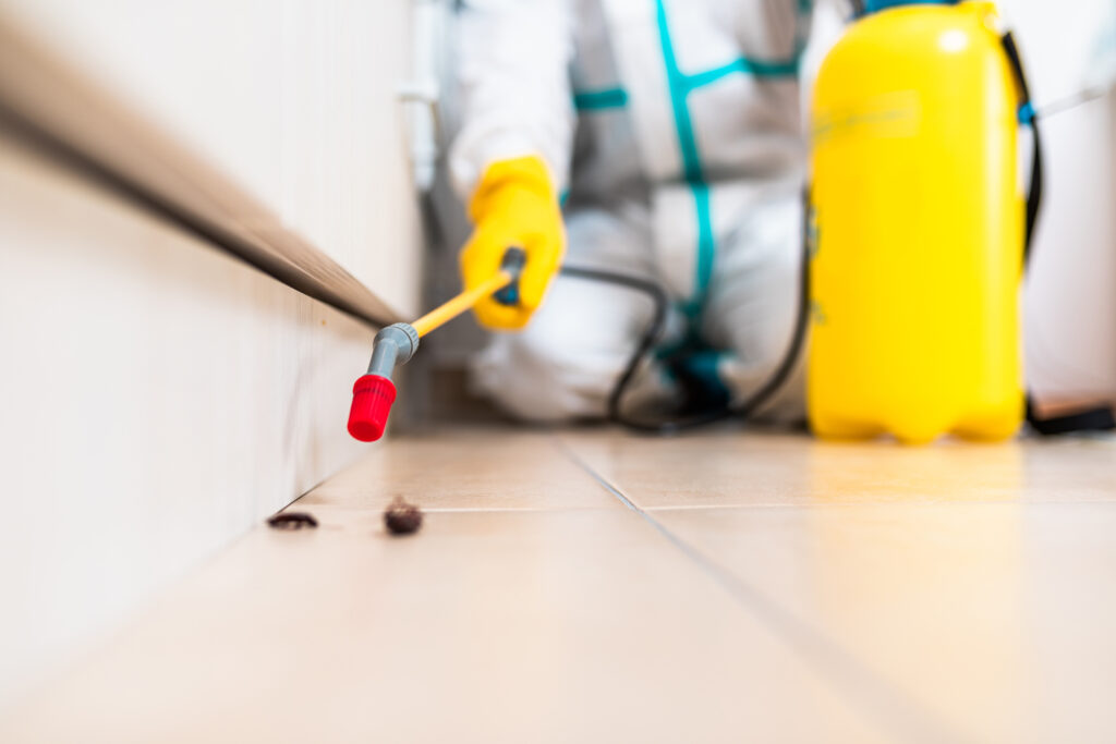 Rosamond Cockroach Experts