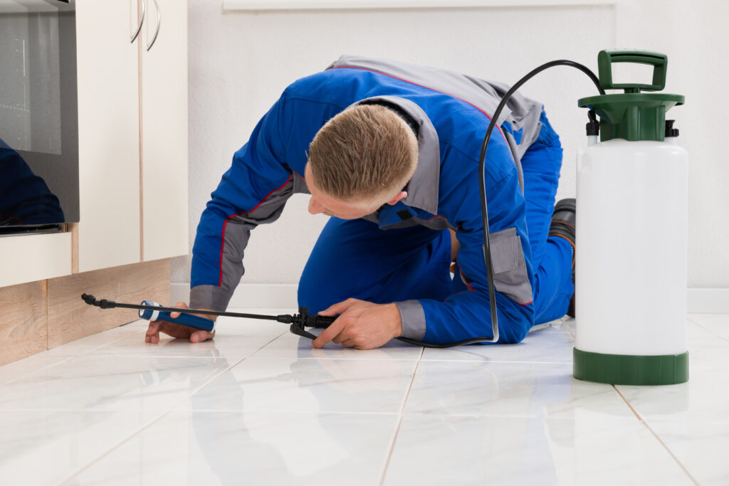 Rosamond Ant Control Xperts