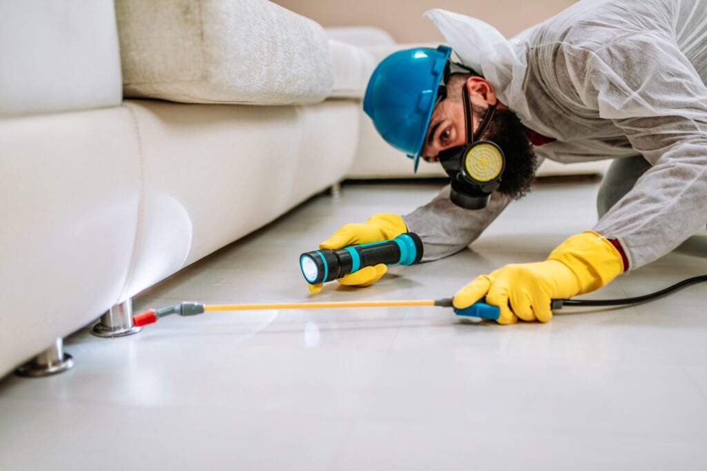 Rosamond Termite Control