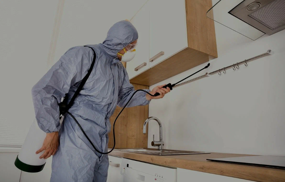 Rosamond pest managment