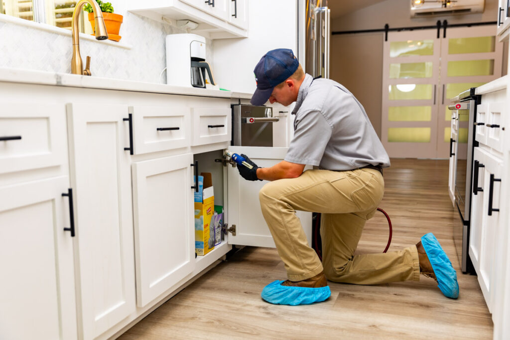 Rosamond xpert pest management